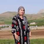 بەفرین مەعرووفی بە مەبەستی جێبەجێکرانی حوکمی بەندکرانەکەی، دەسبەسەر کرا