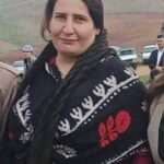 نازەنین ئەلیاسی بە دانانی بارمتە بە شێوەی کاتی ئازاد کرا